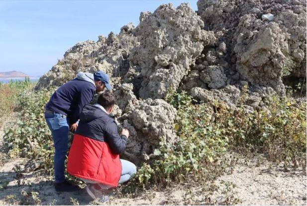 16 bin yıl önce püskürdü Demirköprü Barajı’nın suyu çekilince göründü. Kara olan rengi beyaza döndü - Resim: 18